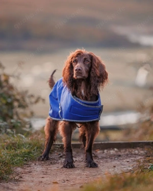 Hundemantel blau gebraucht 