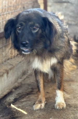 Ronja W ca. 45 cm   die Flauschige