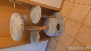 !! Schöner  Naturkratzbaum mit 2 Spielbällen !! Wie neu !!