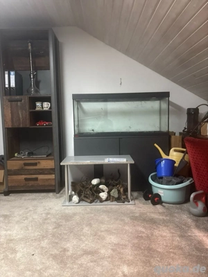 aquarium 240l mit unterschrank