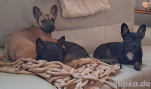 ZWILLINGS Schwestern suchen gemeinsames Zuhause