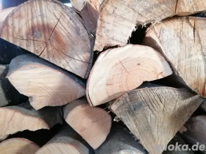 Buche Brennholz trocken 