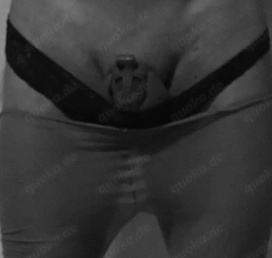 Dev. Mann sucht seine Herrin