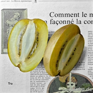 Kiwi Bild Gemälde Obst Früchte Ölbild Ölgemälde Essen Küche Originalkunst Stillleben Malerei