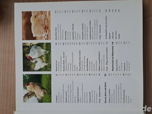 Buch über Hühner