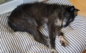 Kämpferin mit Herz - Wanda wartet auf ihre Familie