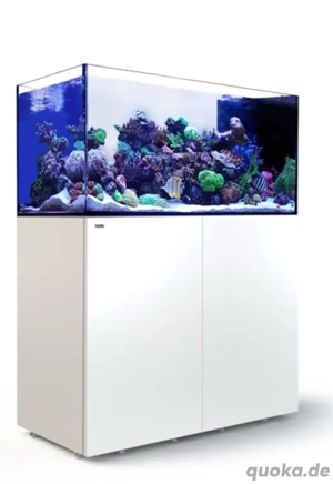 Red Sea Reefer Penisula G2 500
