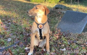 Lolly wartet schon auf dich