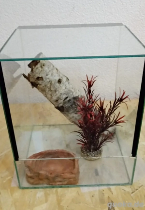 Glas - Terrarium 30 x 30 x 35 cm