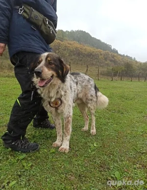 Hingucker Jonte sucht seine Familie