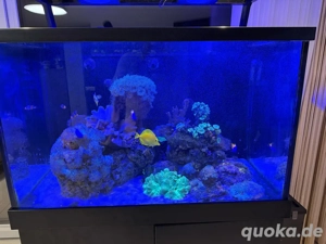 Red Sea Reefer S400 Komplett mit allem zubehör 