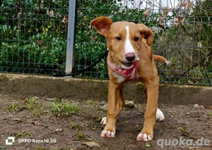 BAILA    ist bereit endlich anzukommen