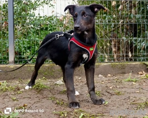 BRISKO    freut sich nun auf seine eigene Familie