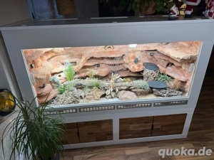 Terrarium B191 H 149 T 80cm 
