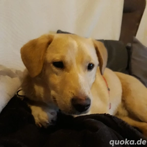 Spiky kleiner Schatz sucht sein Plätzchen 