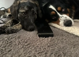 Süße Ewa wartet auf dich