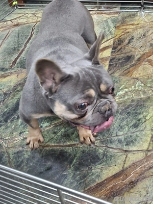 Brendon sucht sein Zuhauase