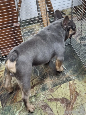 Brendon sucht sein Zuhauase Bild 2