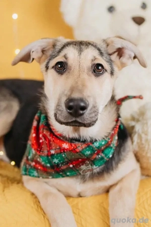 Nola will geliebt werden für immer