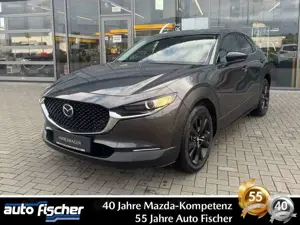 Mazda CX-30 2.0 (186PS) FWD Autom. Homura Sitzheizung