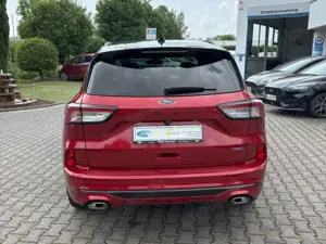 Ford Kuga Plug-In Hybrid ST-Line X Bild 4