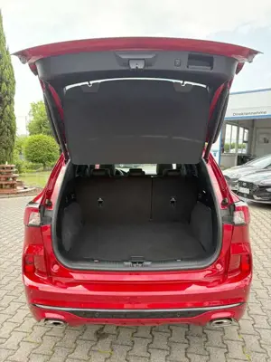 Ford Kuga Plug-In Hybrid ST-Line X Bild 5