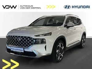 Hyundai SANTA FE Prime 4WD Klima Navi Leder Rückfahrkamera