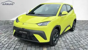 BYD Dolphin Surf Boost Alarm Alu DAB Keyless Klima Nav Kamera