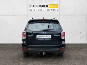 Subaru Forester Subaru Bild 4