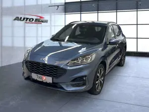Ford Kuga Plug-In Hybrid ST-Line X Sportpaket Bluetooth Bild 2