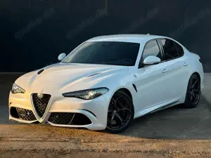 Alfa Romeo Giulia Quadrif 2.9 510 Sparco Carbon Schale HK