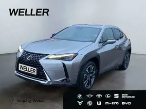 Lexus UX 250h Executive Line *Bi-LED*Leder*HUD*GSD*Navi*