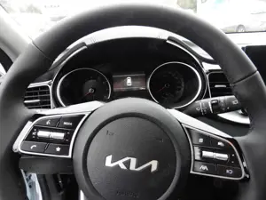 Kia Ceed SW / cee'd SW Vision, SHzg,Lenkrag-Hzg.Navi,Kamera Bild 4