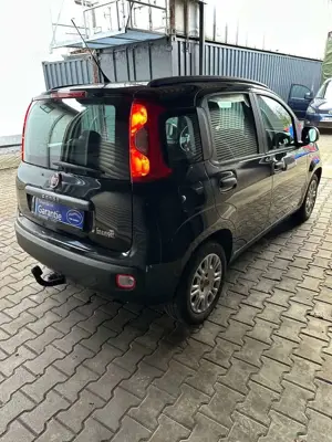 Fiat Panda Bild 4
