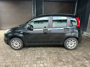 Fiat Panda Bild 5
