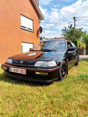 Honda Civic 1.5i 16V ED6 (reserviert) Bild 4