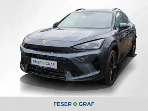 CUPRA Formentor 2.0 TSI VZ DSG 360° AHK Matrix Sennh.