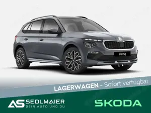 Skoda Kamiq 1.5 TSI Tour AHK|PANO|SHZ|WSSHz|RCam|MATRX