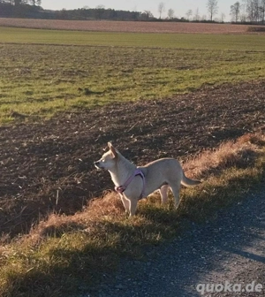 Kleine tapfere Bianca sucht ihre Familie Bild 3