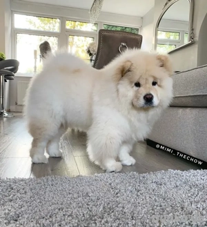 wunderschönen Bild 3