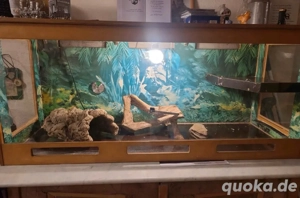 Reptilien Terrarium 140x55x62