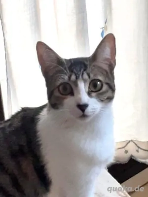 Rayo und Lisi (Bea) Bild 3