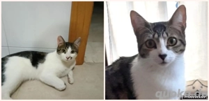 Rayo und Lisi (Bea) Bild 2