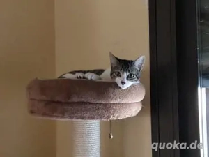 Rayo und Lisi (Bea) Bild 5