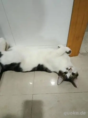 Rayo und Lisi (Bea) Bild 4