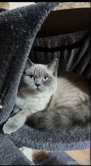 Bkh mädchen (Beschreibung lesen)