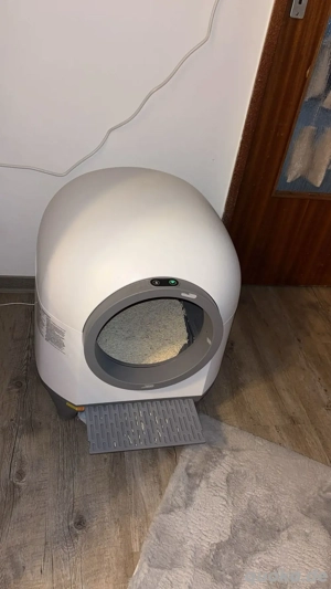 Katzen Toilette 3 monate alt