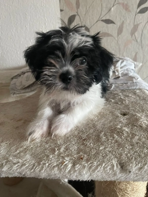 Möchte mich  den keiner 