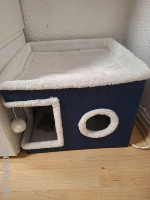 katzenbett 