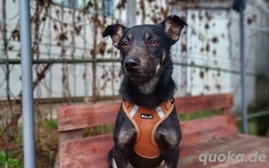 Wer verliebt sich in Karamell ?			